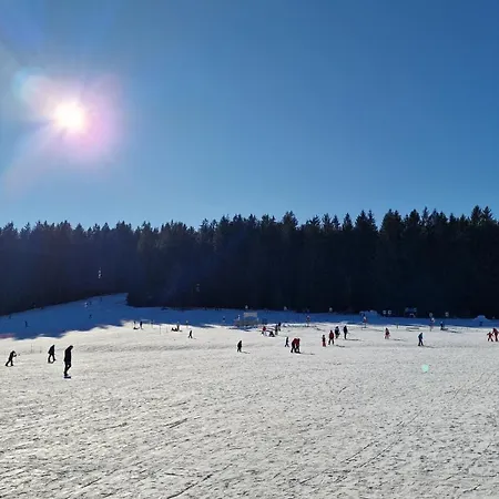 Bayerwaldresort شقة سانكت انجلمار